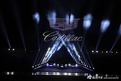 国产456,引领未来科技，铸就民族品牌辉煌